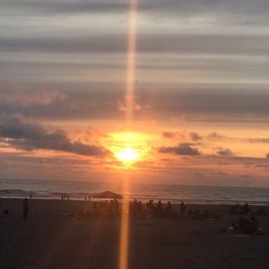 Meet your Posher, Nisa